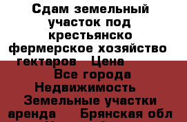 Сдам земельный участок под крестьянско-фермерское хозяйство 20 гектаров › Цена ­ 10 000 - Все города Недвижимость » Земельные участки аренда   . Брянская обл.,Новозыбков г.